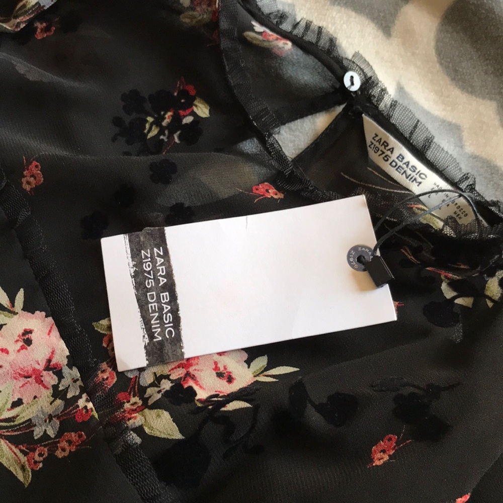 Zara Sheer Blouse